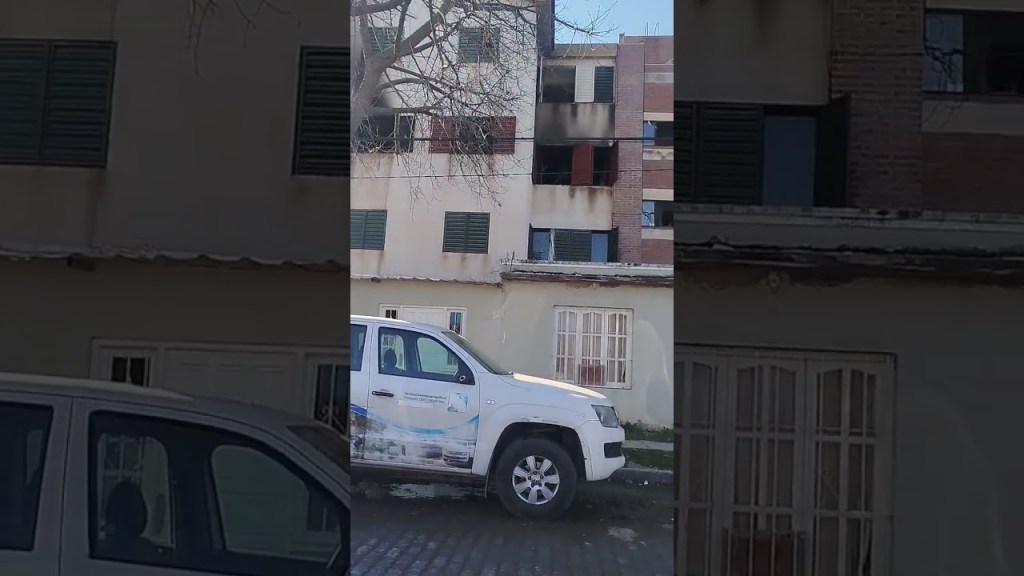 Héroe anónimo salva a perra en incendio de departamento en barrio El&nbsp;Bosque