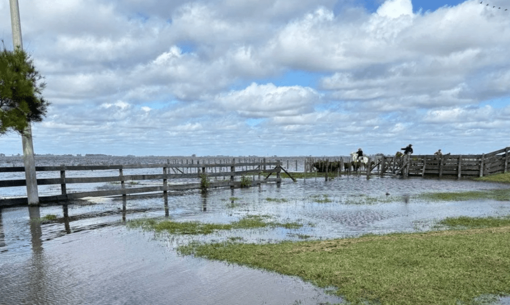 Se declaró emergencia agropecuaria en Buenos Aires y San Juan por inundaciones, granizo y&nbsp;enfermedades
