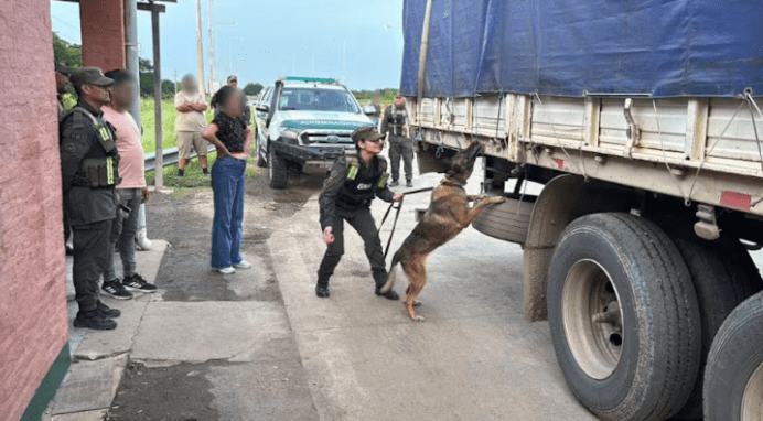 Gendarmería Nacional interceptó un camión con 2.700 kilos de estupefacientes ocultos entre bobinas de&nbsp;alambre