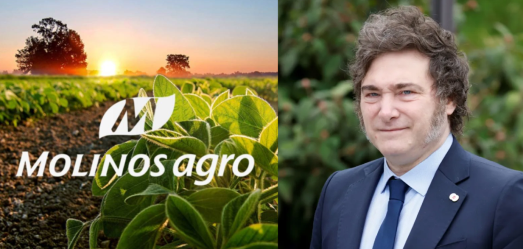 Molinos Agro anunció una inversión de U$S 12 millones y ampliará la molienda de girasol en San Lorenzo 