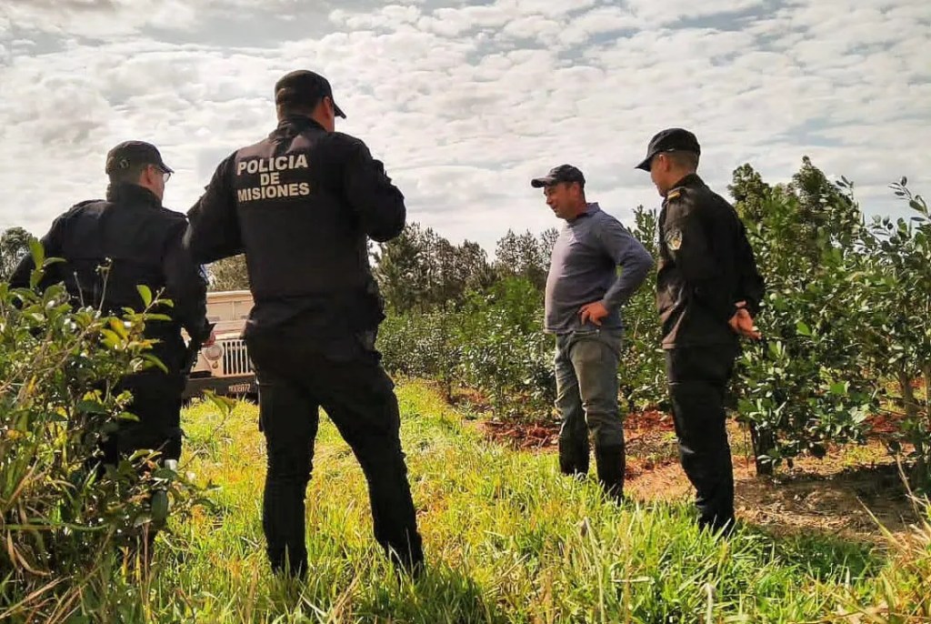 Terror en un aserradero: joven sufrió abuso laboral y&nbsp;violencia