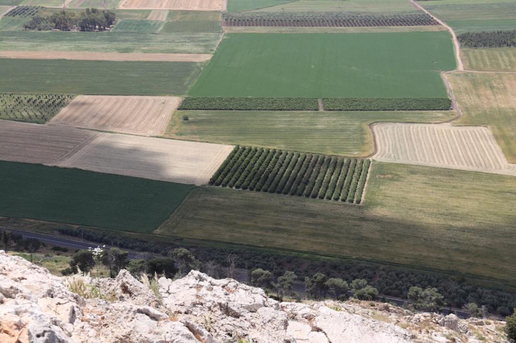 Authence: el nuevo herbicida de Syngenta ya está disponible en Argentina