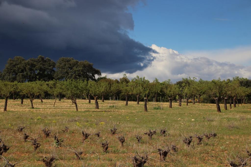 Cambios climáticos extremos en primavera y otoño&nbsp;2027