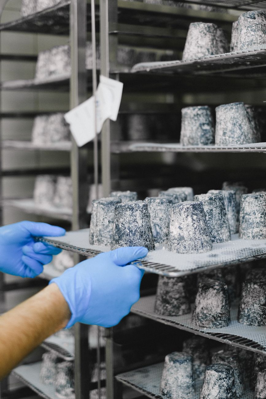 30 millones de dólares llegan a láctea histórica de Arcor y&nbsp;Danone
